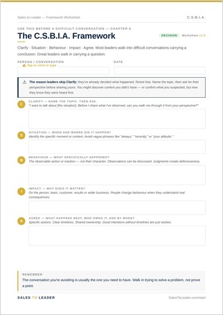 Preview of the C.S.B.I.A. worksheet