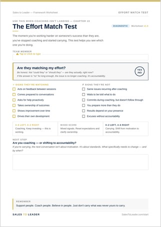 Preview of the Effort Match Test worksheet